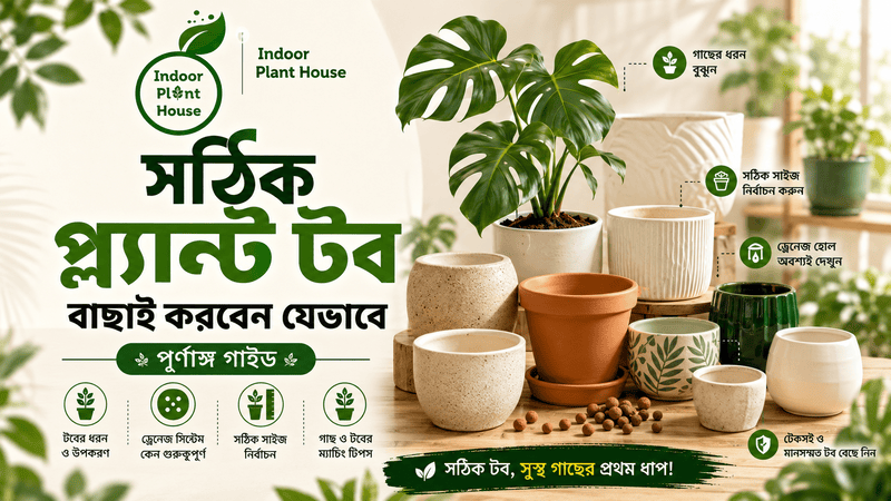 সঠিক প্ল্যান্ট টব বাছাই করবেন যেভাবে (পূর্ণাঙ্গ গাইড)