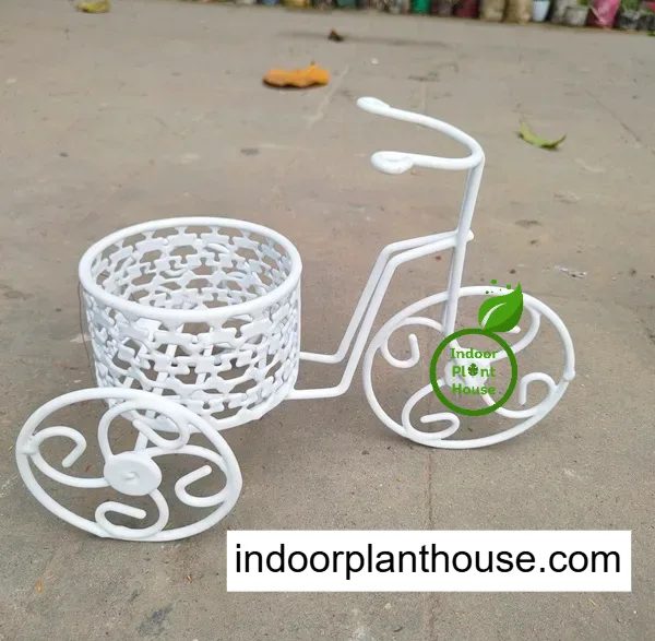 Mini Cycle Metal Planter - এক পটে সবুজের সাজ